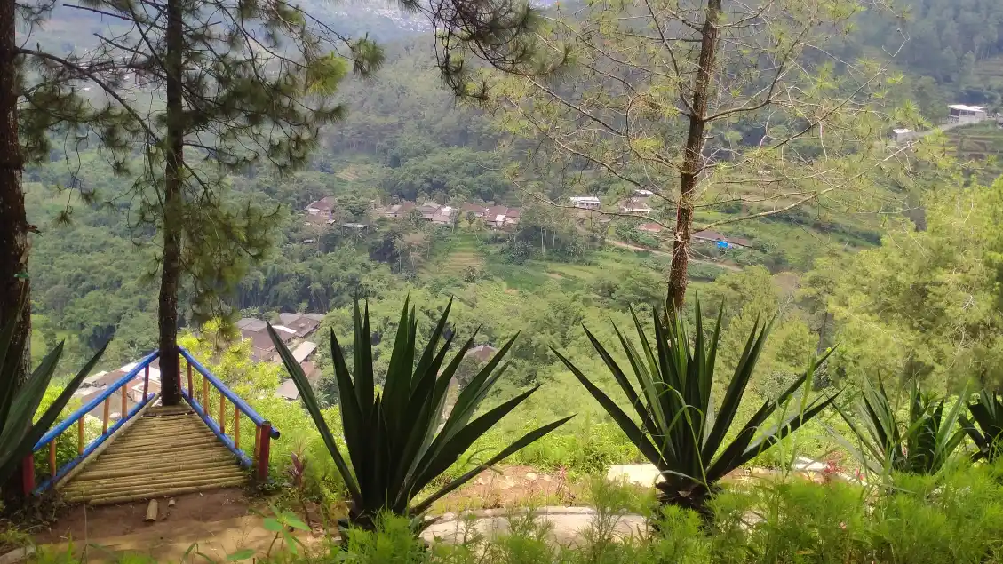 Tenda estetik siap pakai menawarkan rekreasi eksklusif